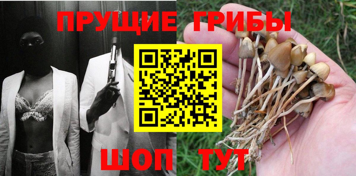 Псилоцибиновые грибы Cubensis Павлово